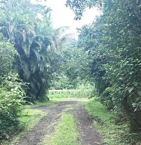 0.19 Acres of Residential Land for Sale in Pahoa, Hawaii