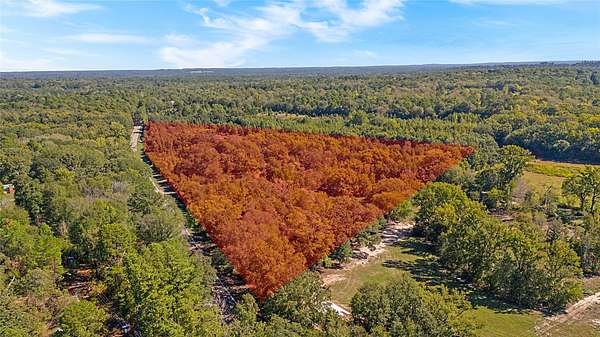 40.5 Acres of Recreational & Residential Land for Sale in Mineola, Texas