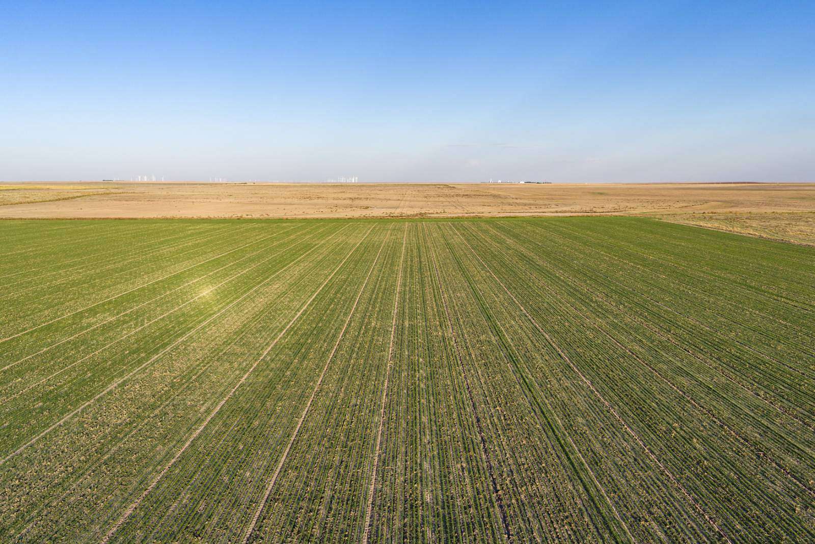 156 Acres of Agricultural Land for Sale in Brewster, Kansas