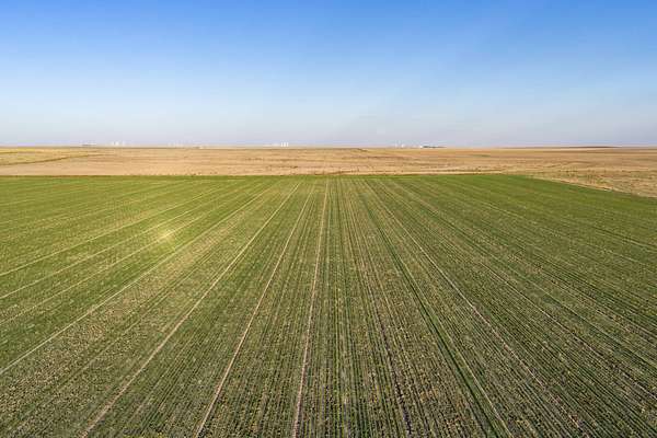 156 Acres of Agricultural Land for Sale in Brewster, Kansas