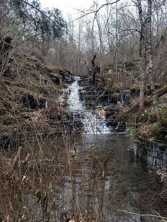 18 Acres of Recreational Land for Sale in Bee Branch, Arkansas
