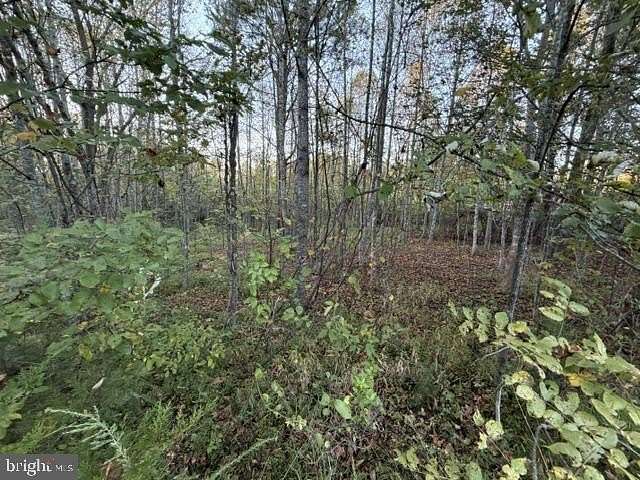 1.5 Acres of Residential Land for Sale in Louisa, Virginia