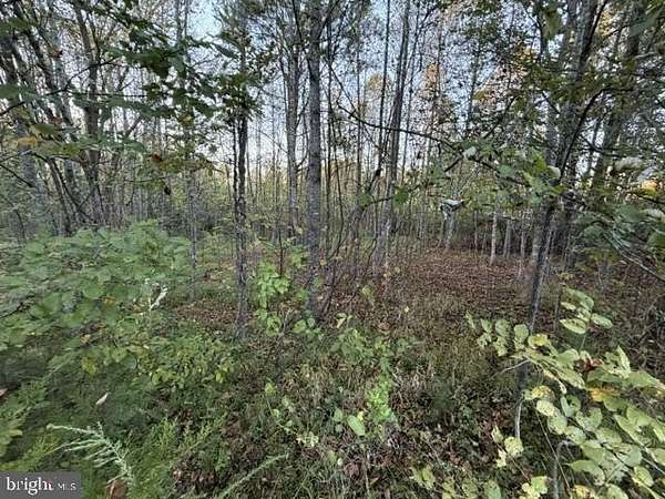 1.5 Acres of Residential Land for Sale in Louisa, Virginia