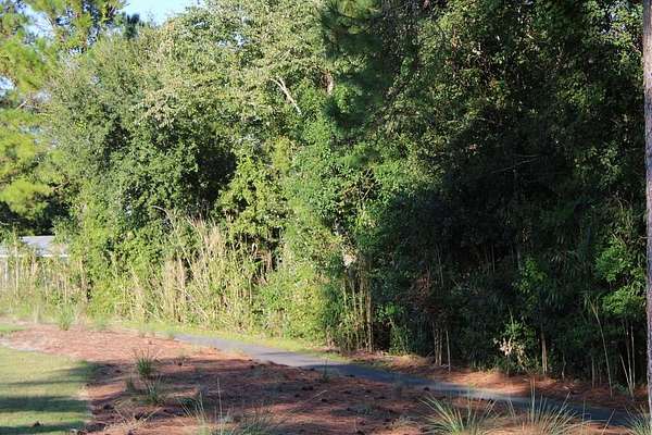 0.18 Acres of Residential Land for Sale in Carrabelle, Florida