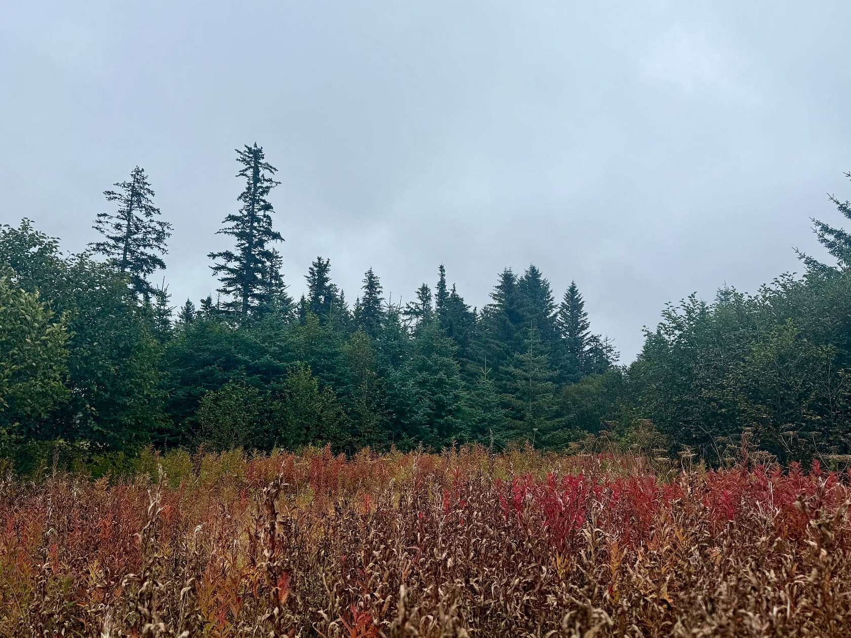 1.83 Acres of Land for Sale in Anchor Point, Alaska