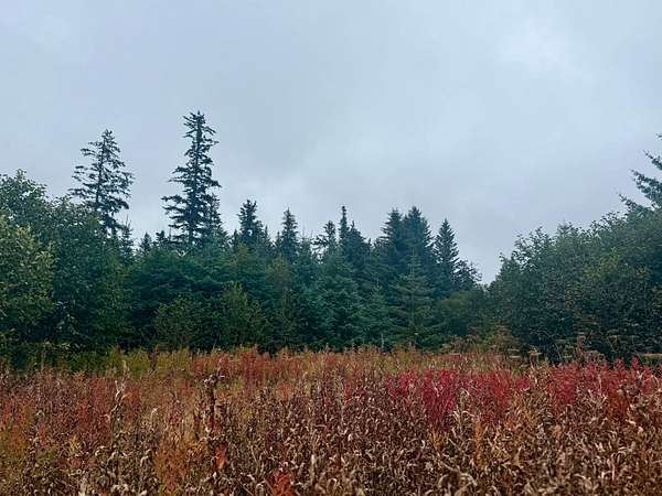 1.83 Acres of Land for Sale in Anchor Point, Alaska