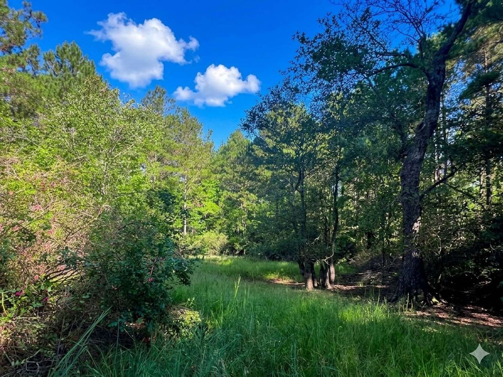 106 Acres of Recreational Land for Sale in Maysville, North Carolina