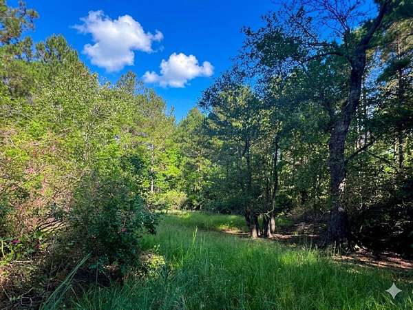 106 Acres of Recreational Land for Sale in Maysville, North Carolina