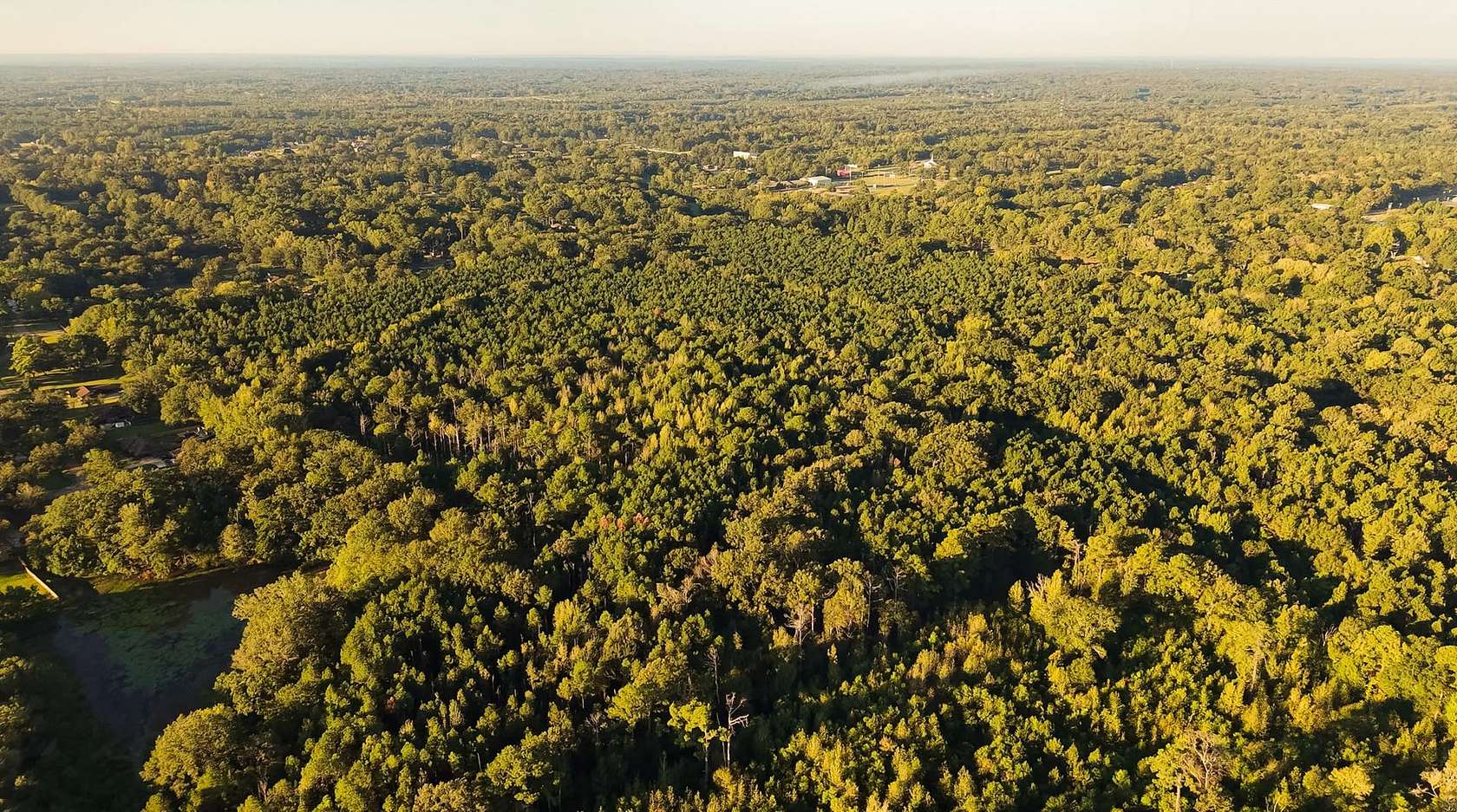 148 Acres of Recreational Land for Sale in Jackson, Mississippi