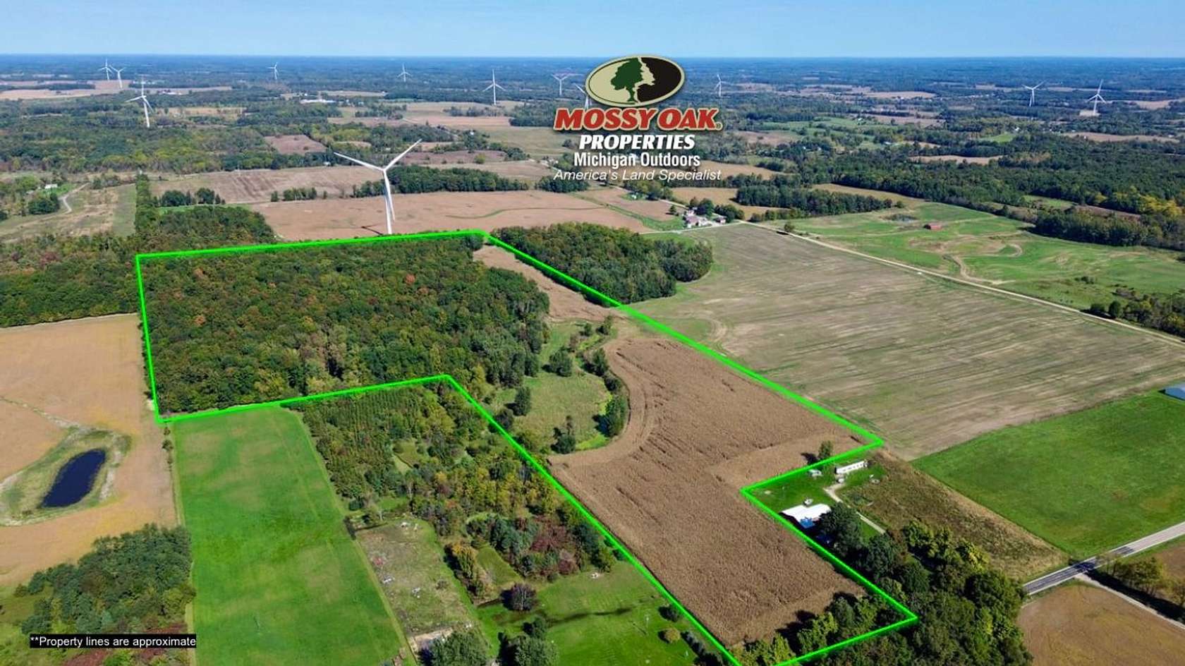 56 Acres of Land for Sale in Pittsford, Michigan