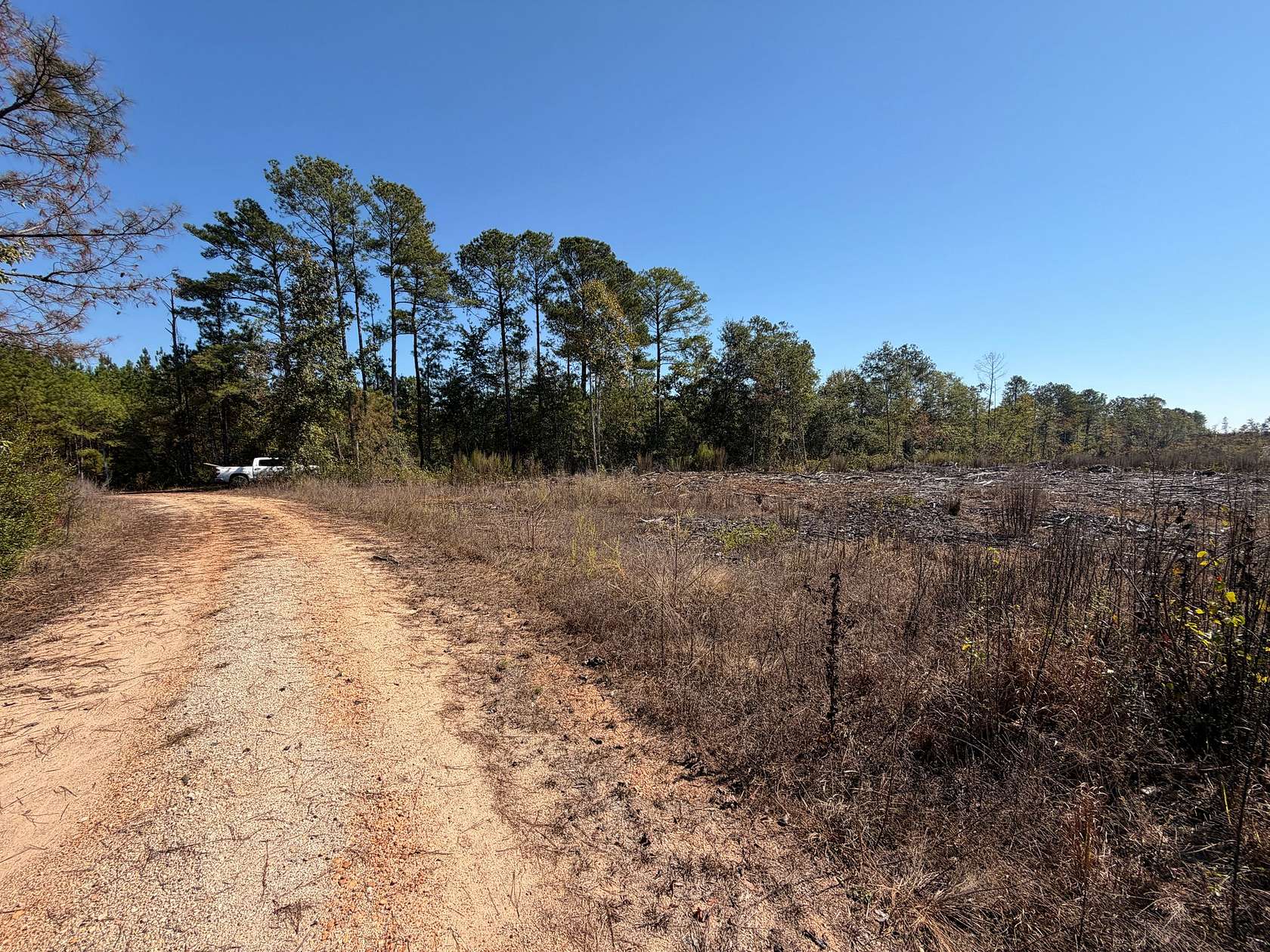 26.2 Acres of Recreational Land for Sale in Wadley, Alabama