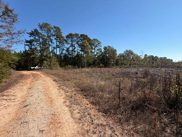 26.2 Acres of Recreational Land for Sale in Wadley, Alabama