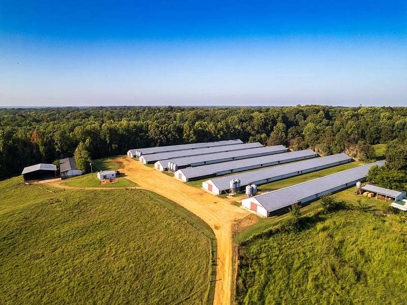 56 Acres of Agricultural & Residential Land for Sale in Fulton, Kentucky