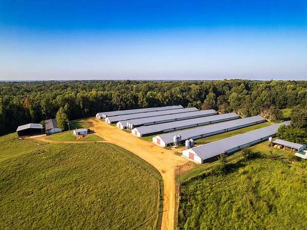 56 Acres of Agricultural & Residential Land for Sale in Fulton, Kentucky