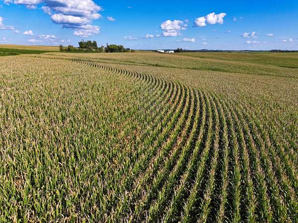 80 Acres of Land for Auction in Postville, Iowa