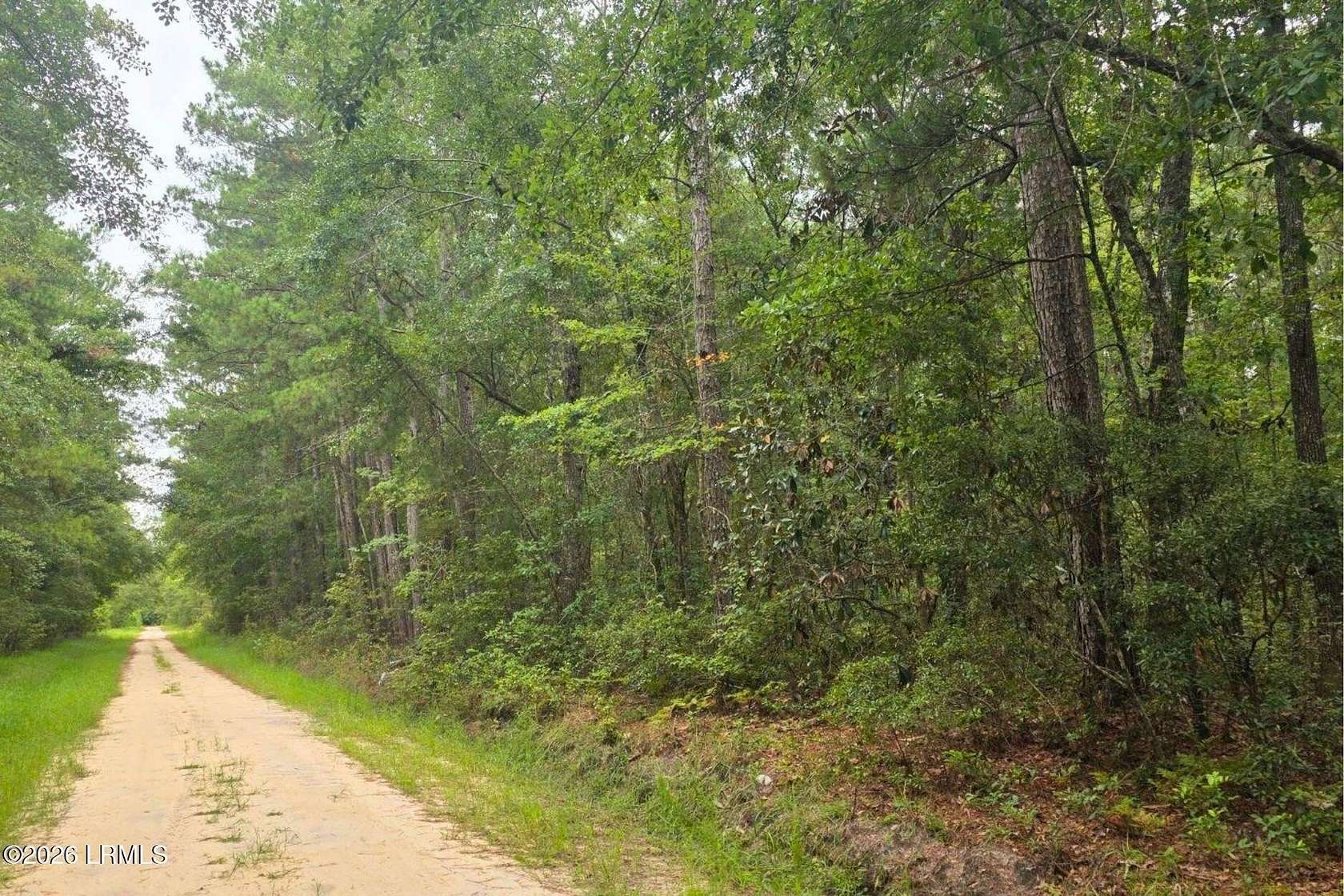 13.8 Acres of Land for Sale in Hampton, South Carolina
