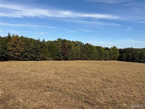 30 Acres of Land for Sale in De Soto, Missouri