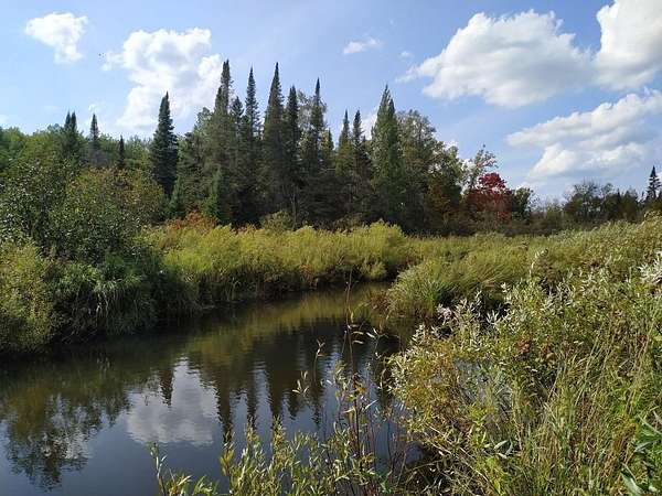 37.7 Acres of Recreational & Residential Land for Sale in Sandstone, Minnesota