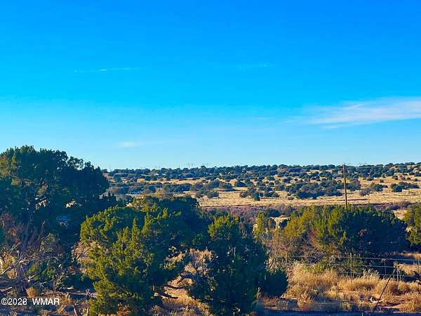 40.1 Acres of Land for Sale in Snowflake, Arizona