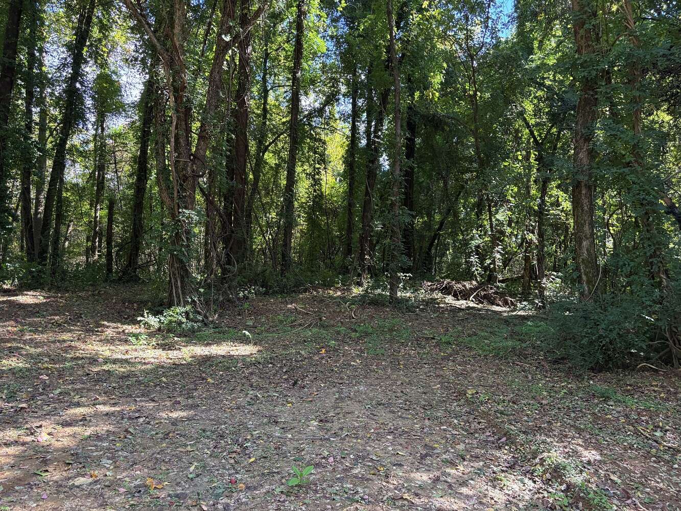 6.25 Acres of Residential Land for Sale in Millington, Tennessee