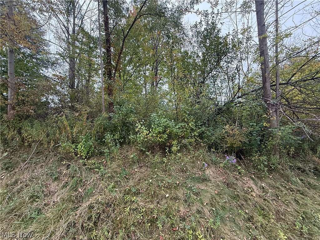 11.2 Acres of Recreational & Residential Land for Sale in Thompson, Ohio