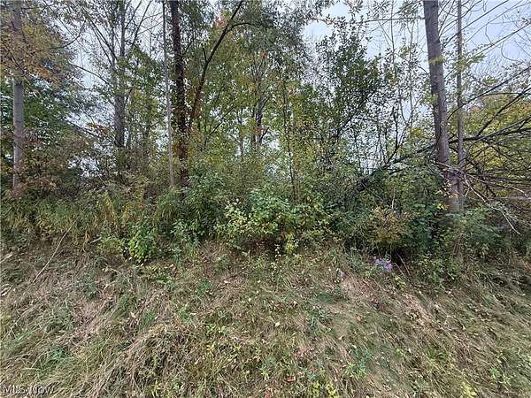 11.2 Acres of Recreational & Residential Land for Sale in Thompson, Ohio