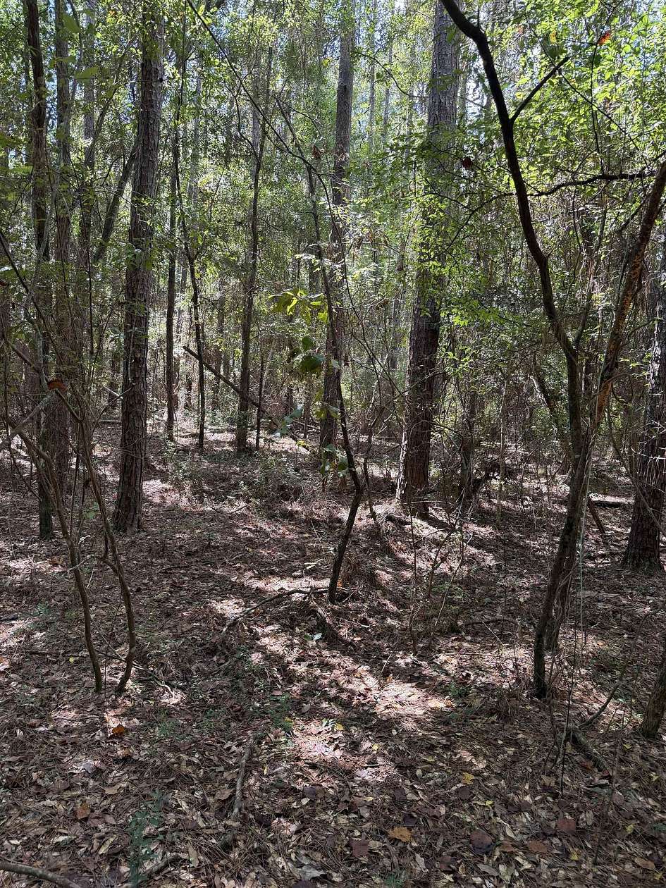 3.66 Acres of Land for Sale in Tallahassee, Florida