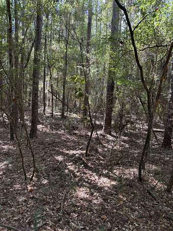 3.66 Acres of Land for Sale in Tallahassee, Florida
