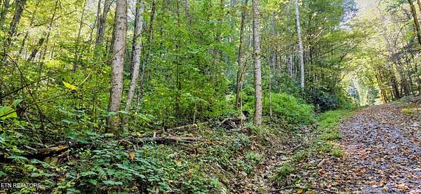 0.82 Acres of Residential Land for Sale in Sevierville, Tennessee