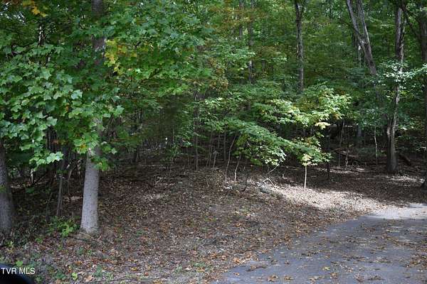 10.7 Acres of Land for Sale in Rogersville, Tennessee