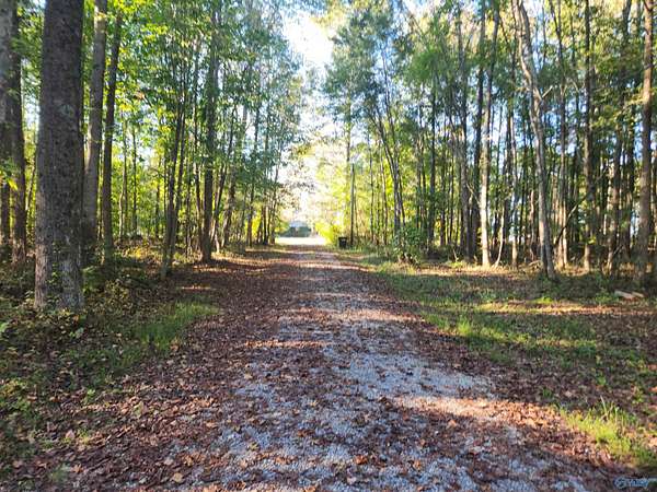 6.9 Acres of Land with Home for Sale in Flat Rock, Alabama