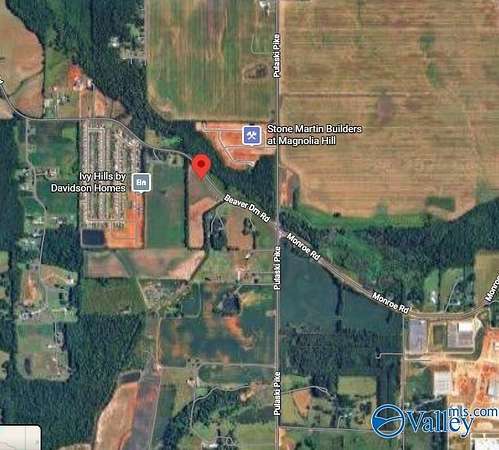 18.3 Acres of Land for Sale in Toney, Alabama