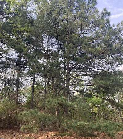 1 Acre of Residential Land for Sale in London, Arkansas