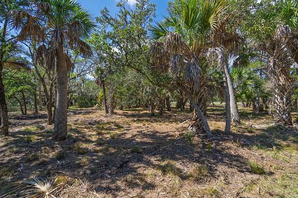 0.42 Acres of Residential Land for Sale in Edisto Island, South Carolina