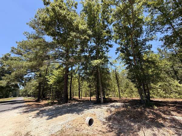 2 Acres of Residential Land for Sale in Smoaks, South Carolina