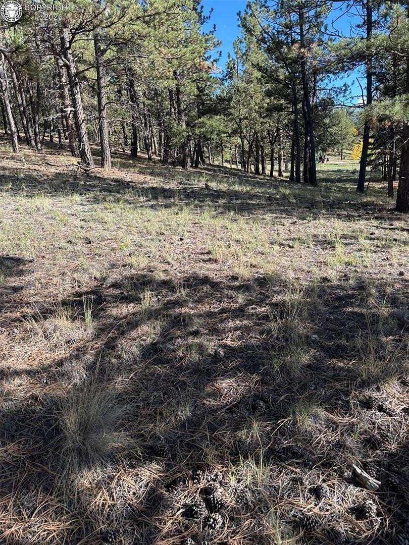 1.18 Acres of Residential Land for Sale in Westcliffe, Colorado