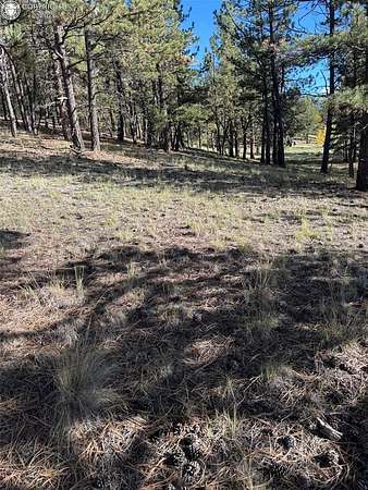 1.18 Acres of Residential Land for Sale in Westcliffe, Colorado
