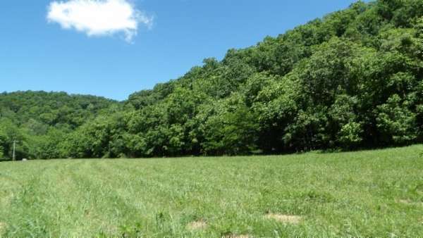 247 Acres of Land for Sale in Moss, Tennessee