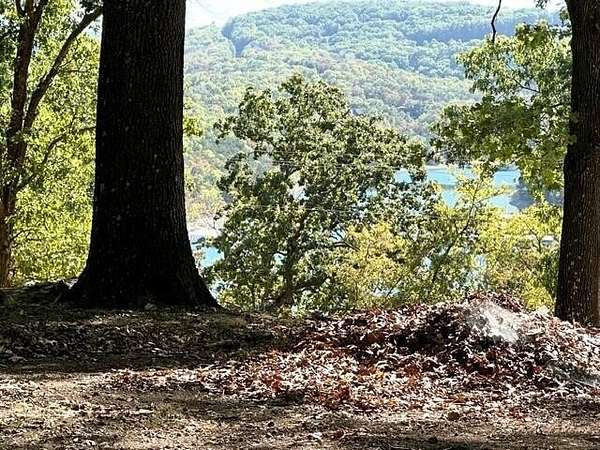 0.41 Acres of Residential Land for Sale in Kimberling City, Missouri