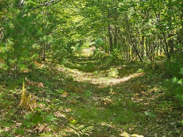 14.8 Acres of Land for Sale in Steep Falls, Maine