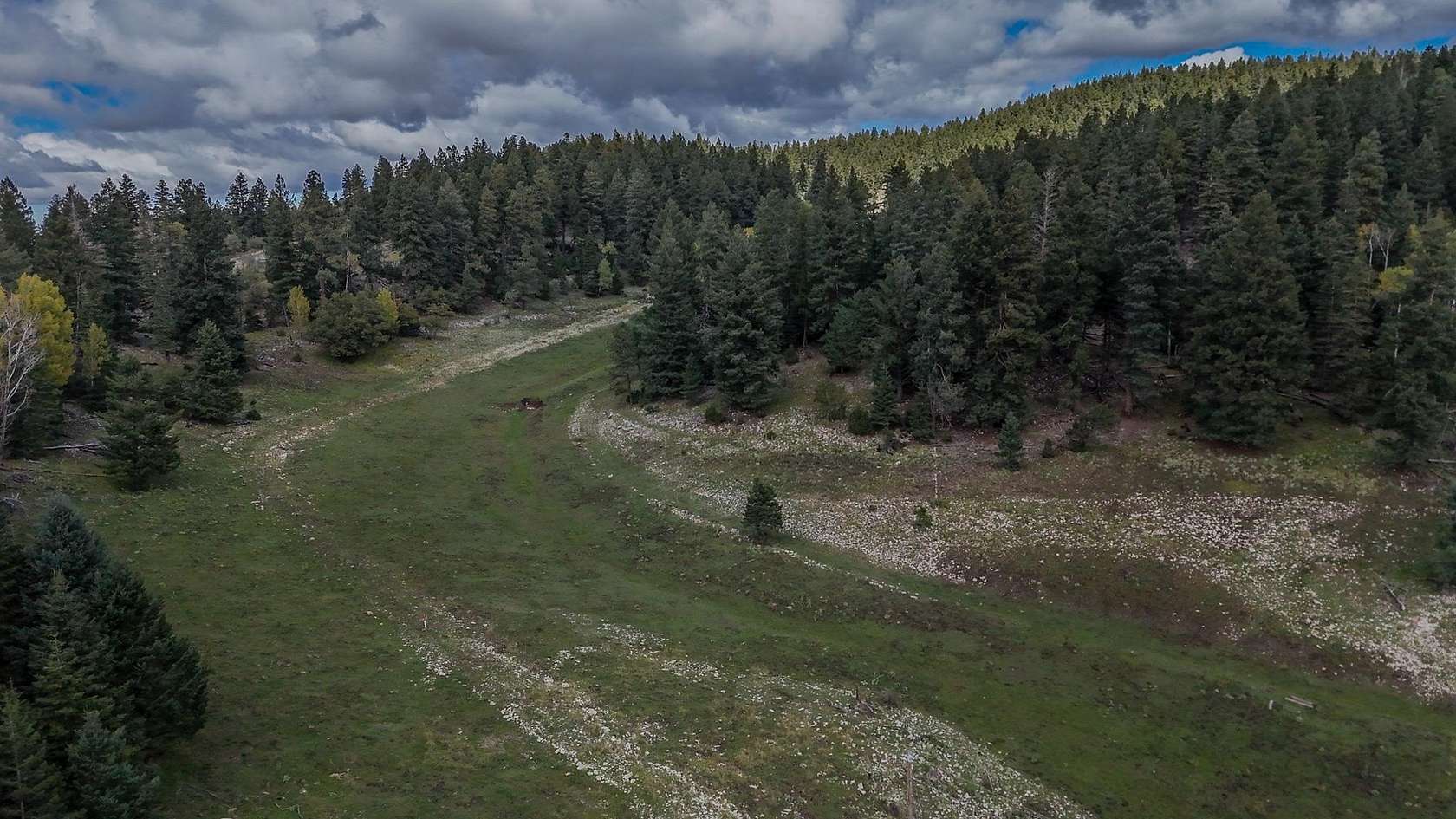1.37 Acres of Land for Sale in Cloudcroft, New Mexico