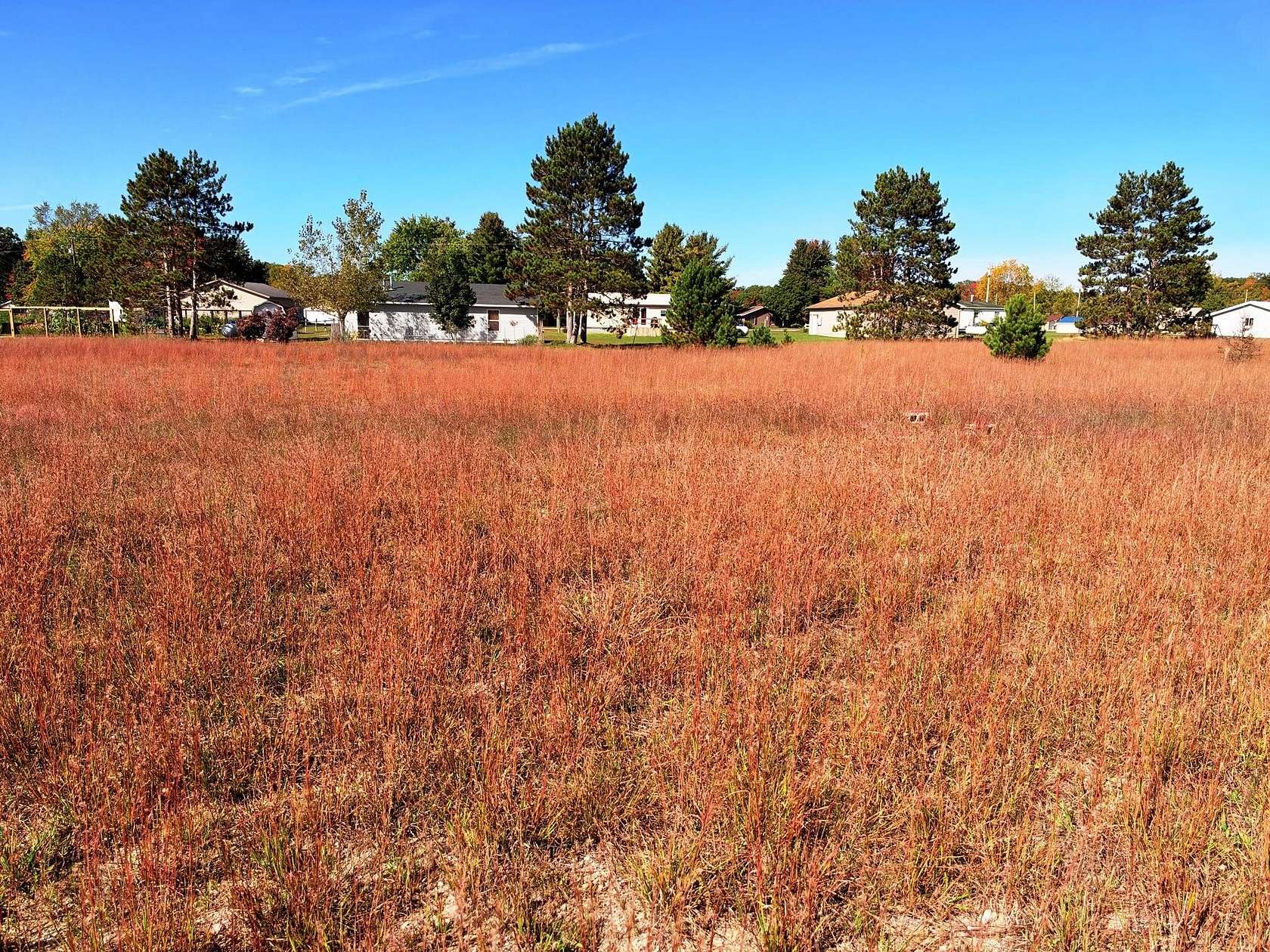 0.33 Acres of Residential Land for Sale in Irons, Michigan