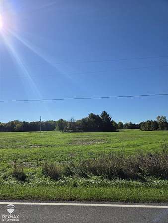 23.5 Acres of Agricultural Land for Sale in Owosso, Michigan