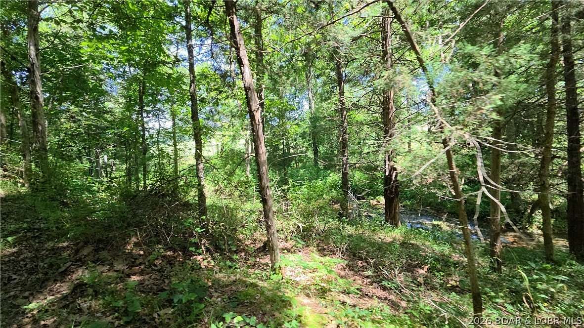 30 Acres of Recreational & Residential Land for Sale in Eldon, Missouri