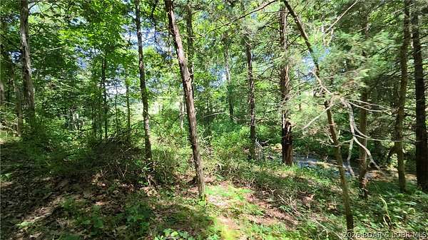 30 Acres of Recreational & Residential Land for Sale in Eldon, Missouri