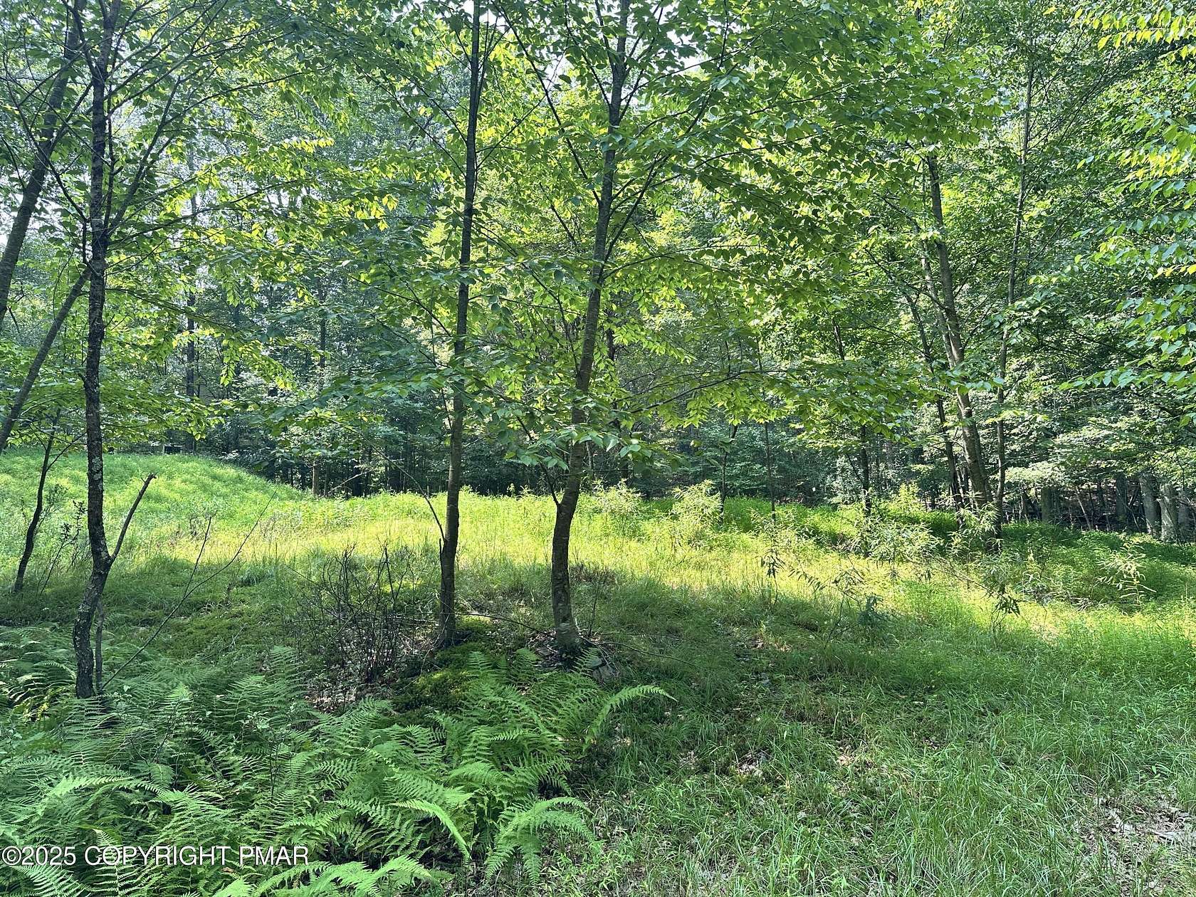 0.43 Acres of Residential Land for Sale in Henryville, Pennsylvania