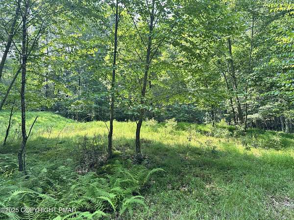 0.43 Acres of Residential Land for Sale in Henryville, Pennsylvania