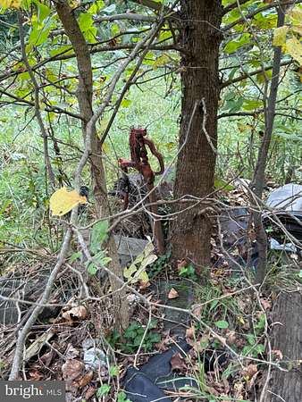 0.52 Acres of Residential Land for Sale in Great Cacapon, West Virginia