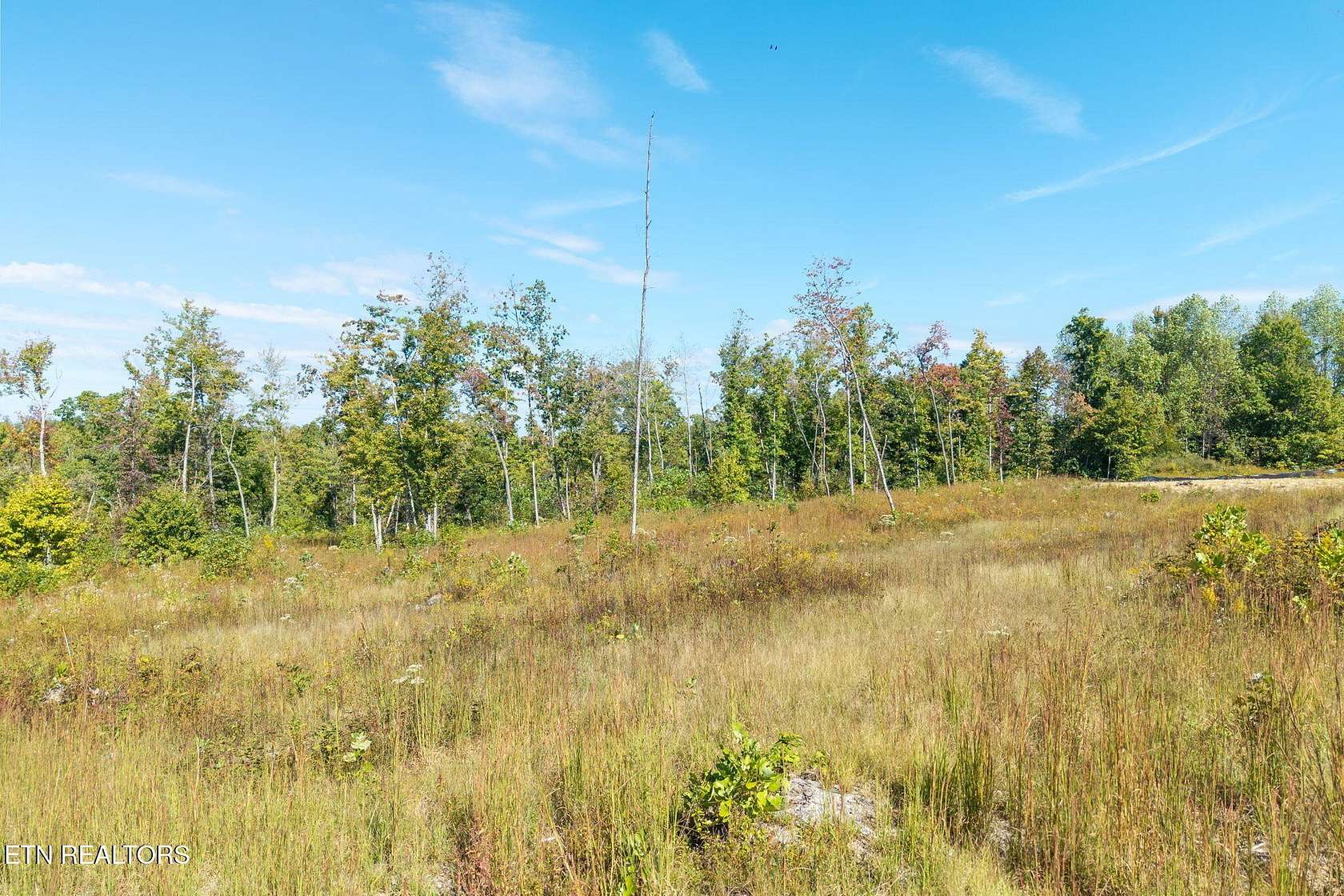 7.62 Acres of Land for Sale in Jamestown, Tennessee