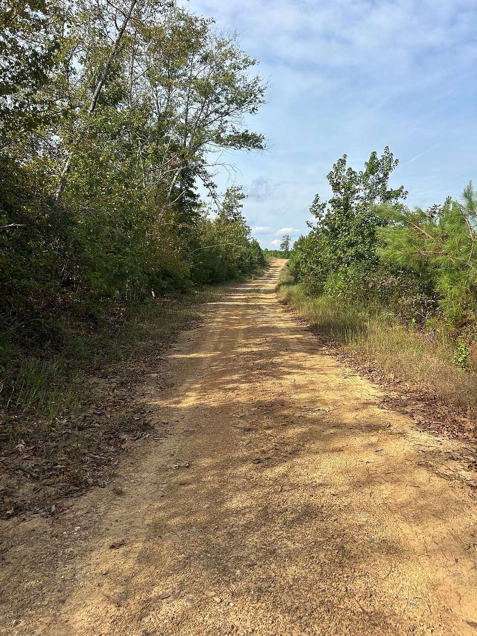 61.9 Acres of Recreational Land for Sale in Graysonia, Arkansas